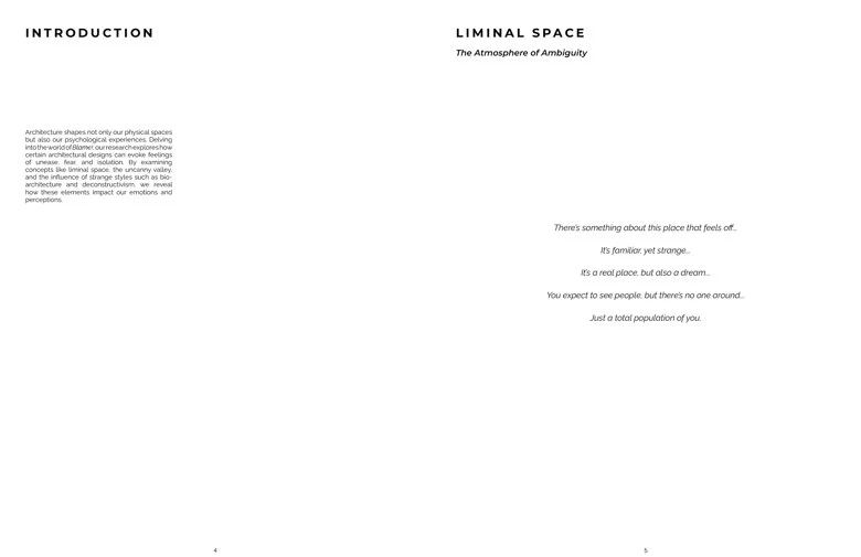 Liminal Space Research Booklet - Image 5